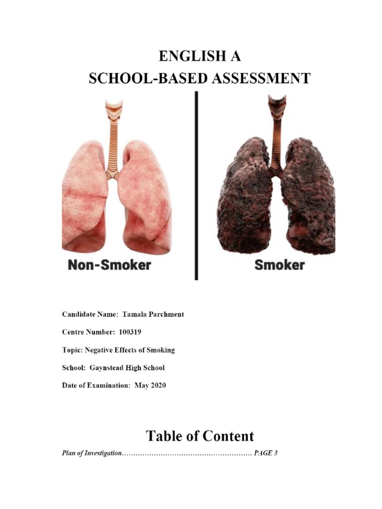 English SBA | PDF