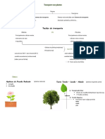 Resumo Bio Teste 2