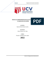 Proyecto Emprendedor - Tutoría III - 2022-2