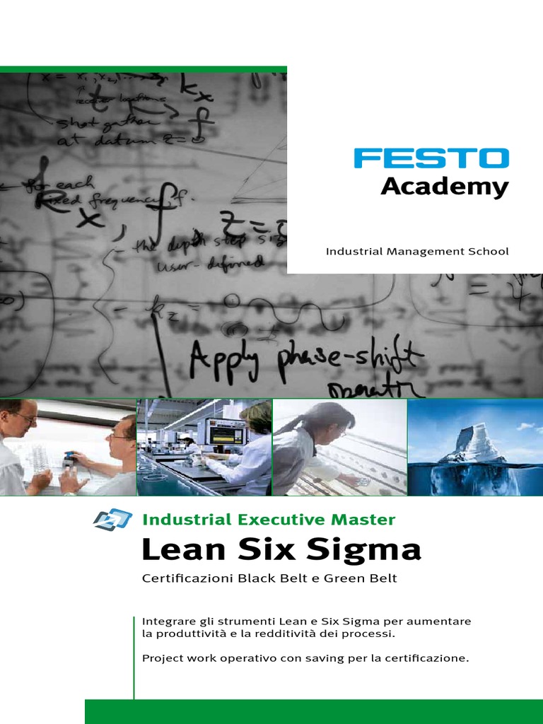 Master Lean Six Sigma Rev 20 13a | PDF