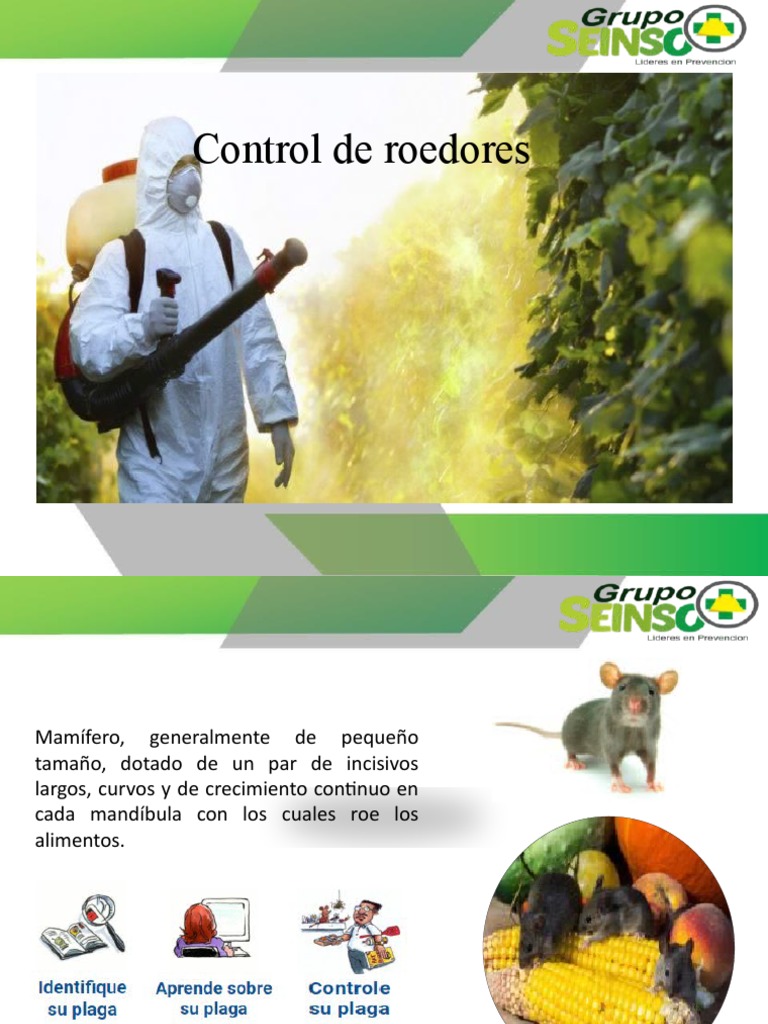 Control Integral de Roedores en Chile | PDF | Roedor