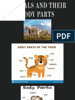 Animals and Their Body Parts