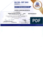 Certificado Alturas Carlos Eduardo Cardona Bedoya