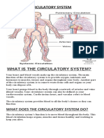 Circulatory System