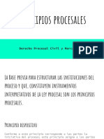 Principios Procesales Guatemala