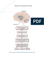 Pathophysiology of PD