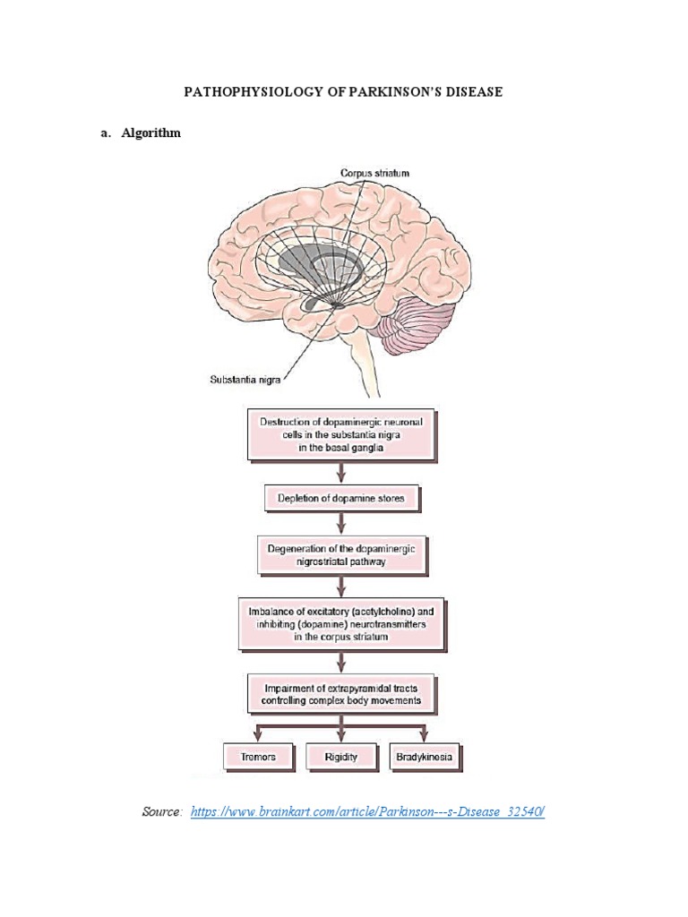 Pathophysiology of PD | PDF | Self-Improvement