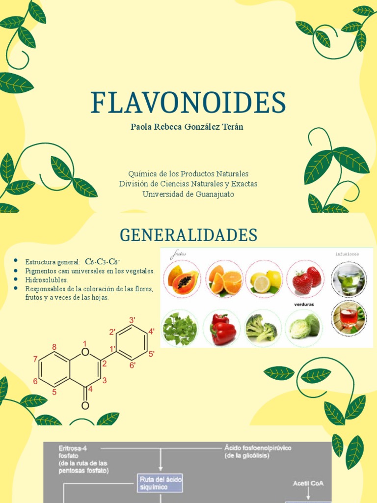 flavonoides-2-pdf-flavonoide-productos-naturales