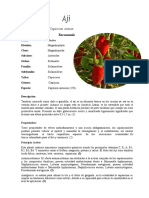 Nombre Científico: Capsicum Annum Taxonomía: Asteridae Solanales Solanoideae Solanoideae Capsiceae Capsium Capsium Annuum