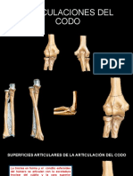 Articulaciones Del Codo