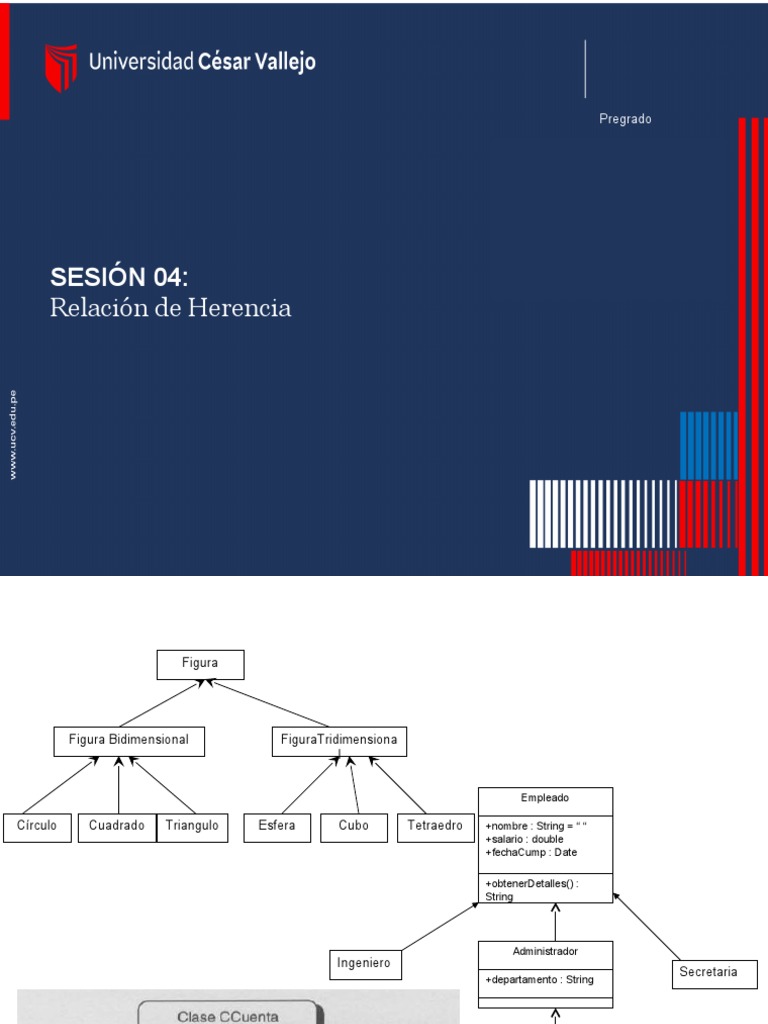 Sesion04 POO | PDF | Herencia (Programación Orientada a Objetos ...