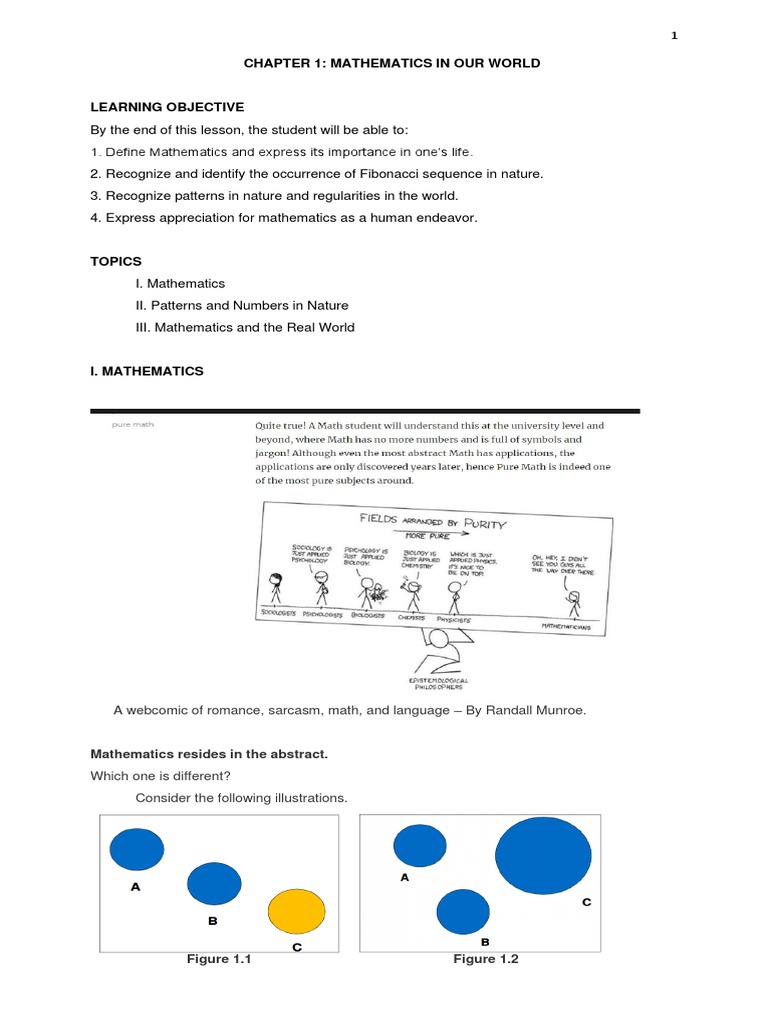 Mathematics and Patterns in Nature | PDF | Pattern | Mathematics