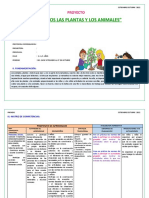 Pronoei - Planificación (Del 26 Al 06 de Octubre)