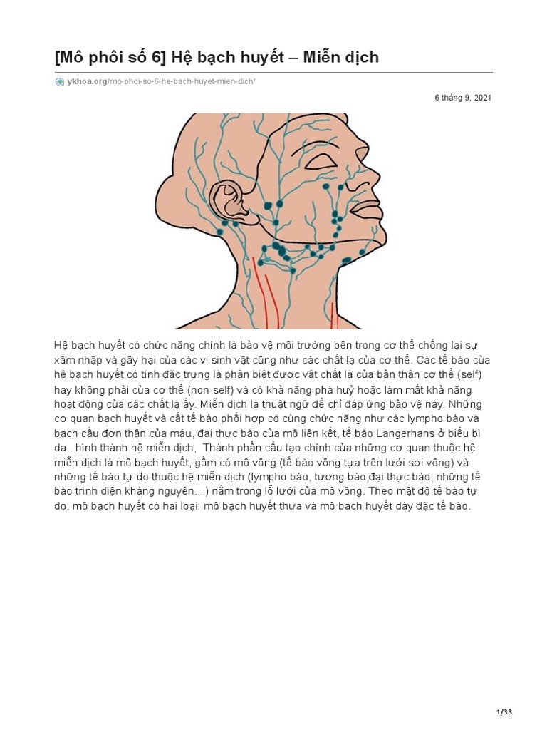 Mô phôi số 6 Hệ bạch huyết Miễn dịch | PDF