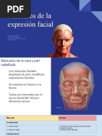 Musculos Faciales