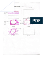 Bacaling - Respiratory Lab