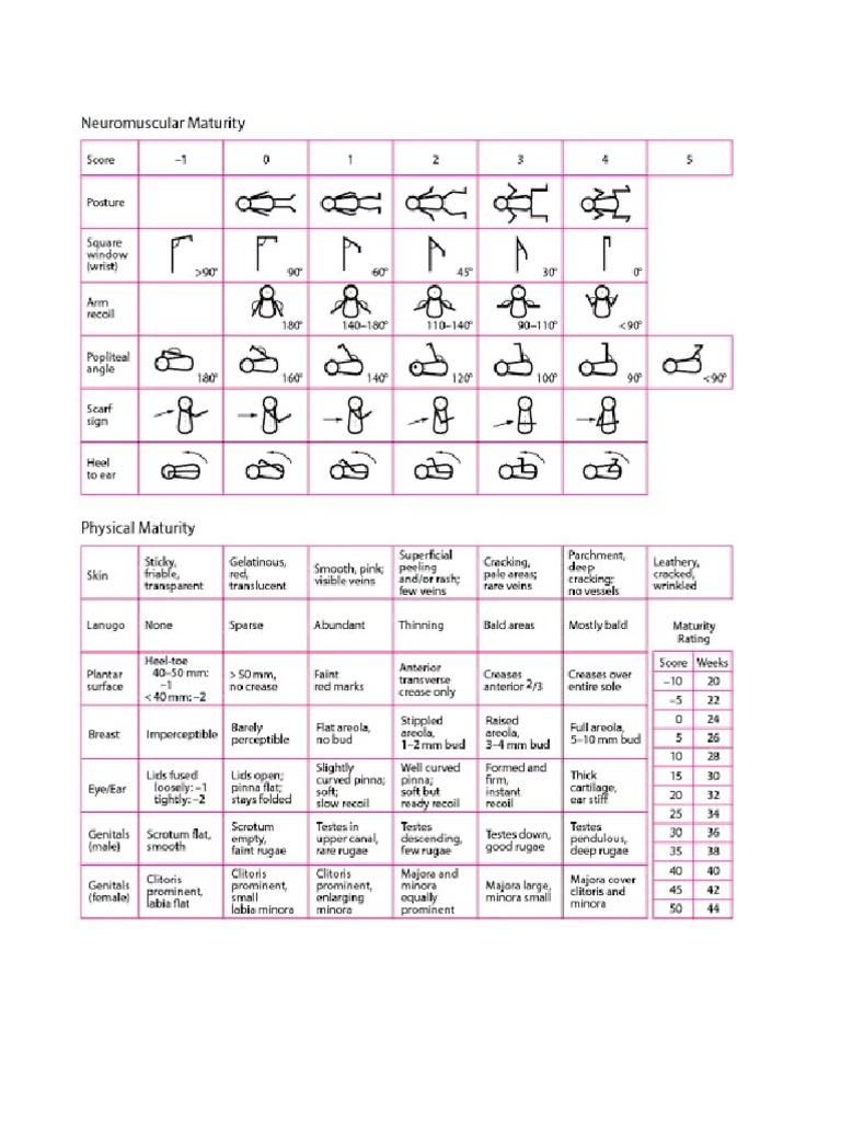 Curv | PDF