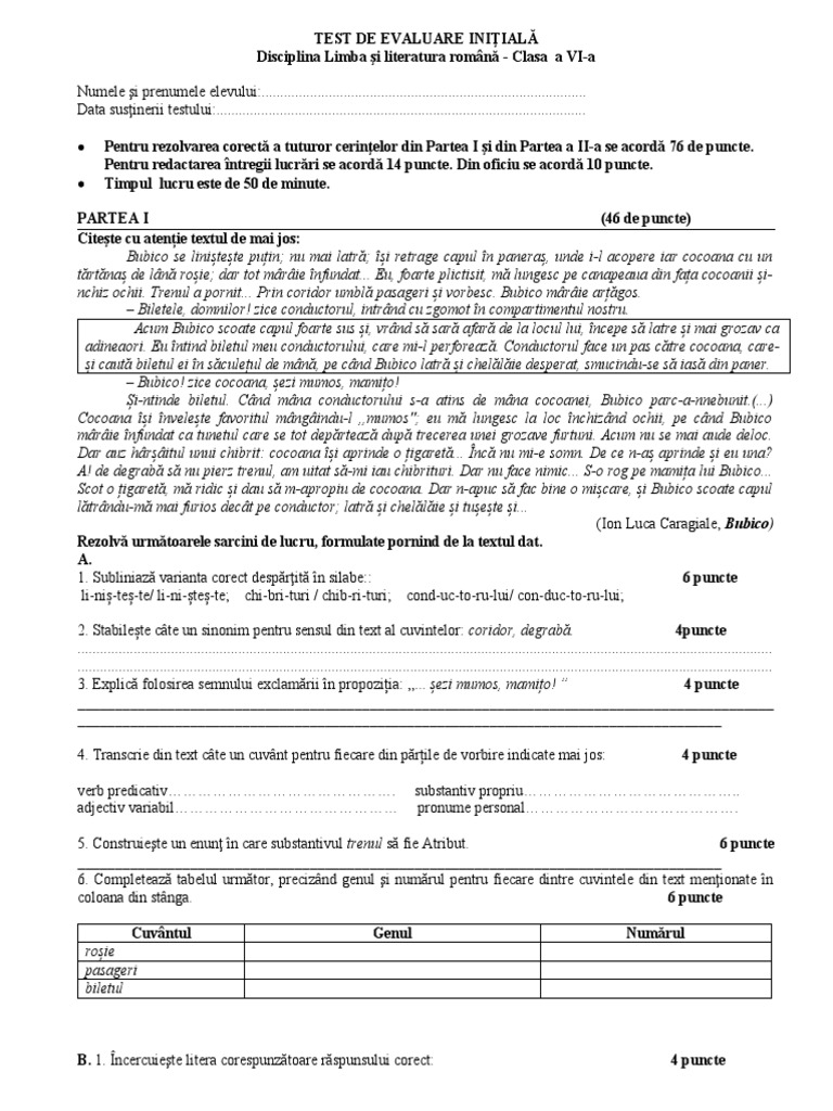 Evaluare Initiala - Cl.6 | PDF