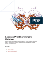 Contoh Laporan Praktikum Enzim Katalase