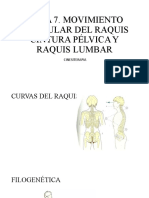 Tema 7-1. Movimiento Articular Del Raquis-Raquis Lumbar