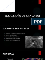 Pancreas