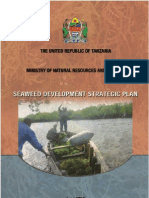 Seaweed Development Strategic Plan