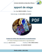 Rapport de Stage ITSA II...