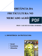 Importância Da Fruticultura