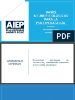 Bases neurofisiológicas de la psicopedagogía y teorías sobre la inteligencia