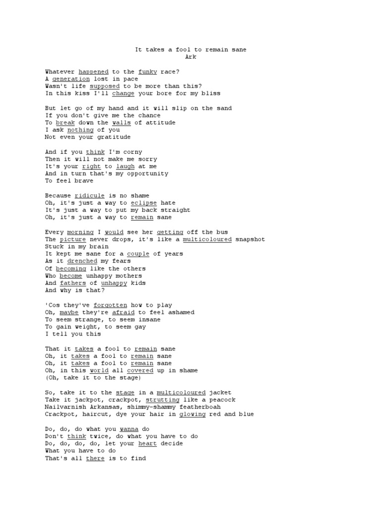 It Takes A Fool To Remain Sane PDF