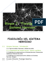 2.1.2. OrganizaciÃ N Del Sistema Nervioso