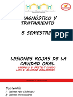 Lesiones Rojas