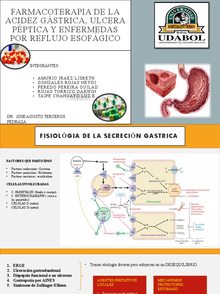 Tema - ACIDEZ Exposición | PDF | La enfermedad por reflujo ...