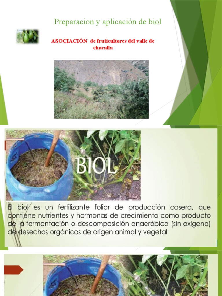 Desventajas del Biol en Fruticultura | PDF