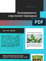 Захворювання, спричинені віроїдами -