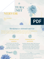 Struktura e Sistemit Nervor