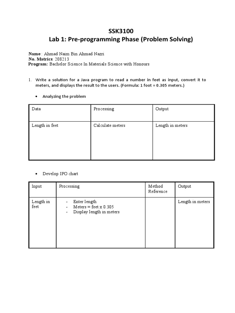 Lab 1 SSK Programming Report | PDF | Computer Science | Computing