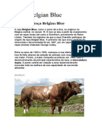 Gado Belgian Blue 100