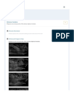 Musculoskeletal Joints and Tendons - 6.8 Foot - Case 6.8.3 Tendon Pathology1 - Ultrasound Cases