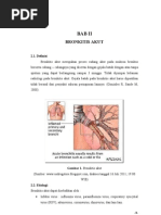 Download BAB II Bronkitis Akut by Syahrul Dian SN60534923 doc pdf
