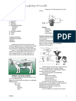 Aparato Digestivo Poligastrico