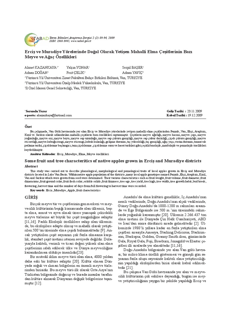 aacademy,+TABAD Issue+2 2009 19 | PDF