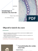 Rapport Morphologie