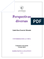 Perspectivas CDM