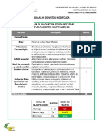 Escalas Hospitalización Adultos