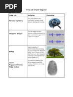 Crime Graphic Organizer