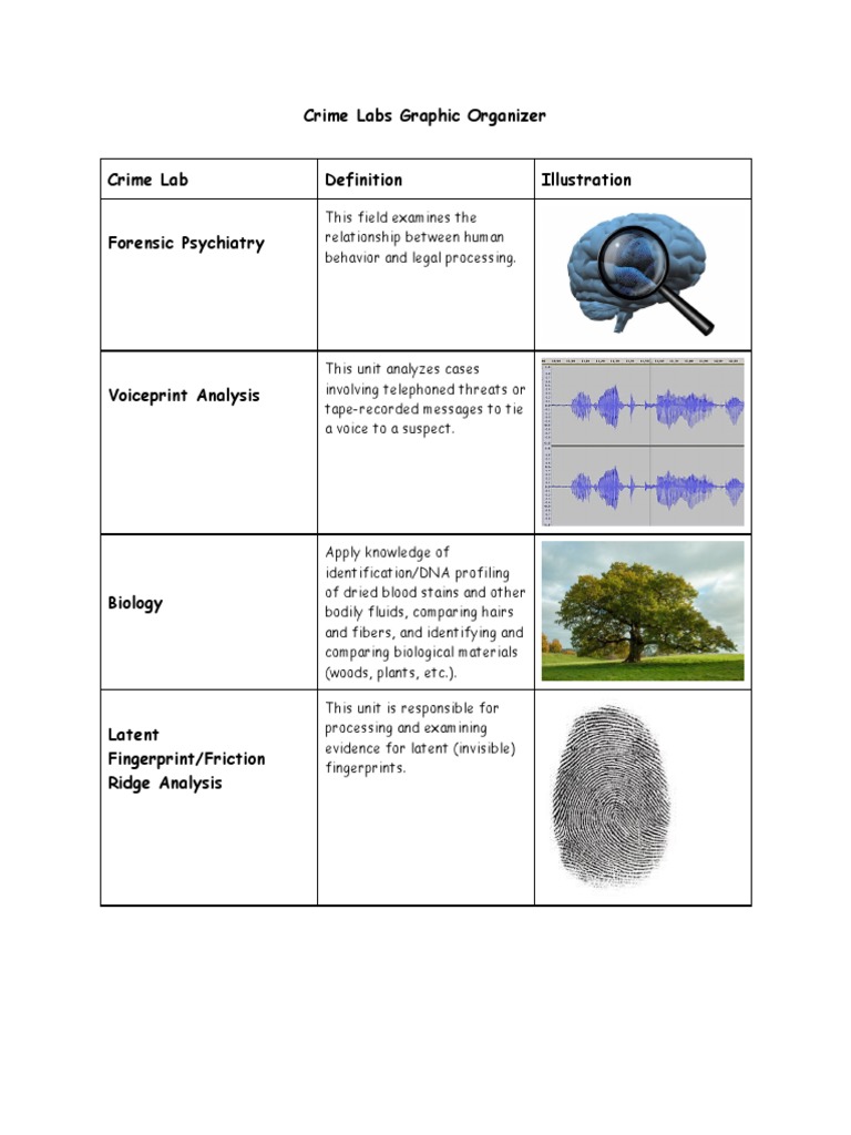 Overview of Forensic Science Units | PDF | Forensic Science | Law ...
