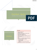 Clostridium y Bacillus