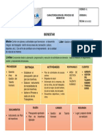 Caracterizacion Del Proceso