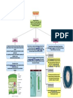 PLANT TISSUES - Drawio